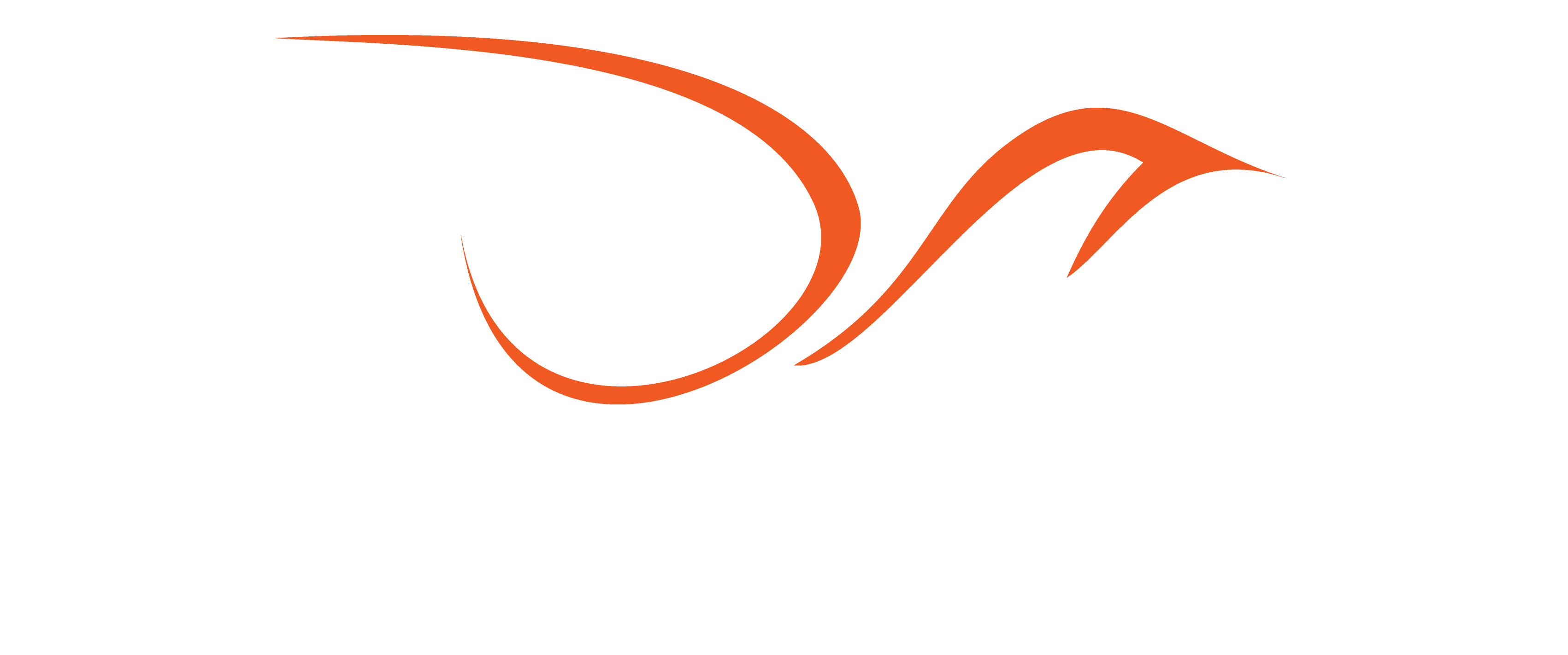 YouthPhoenix_Logo_web